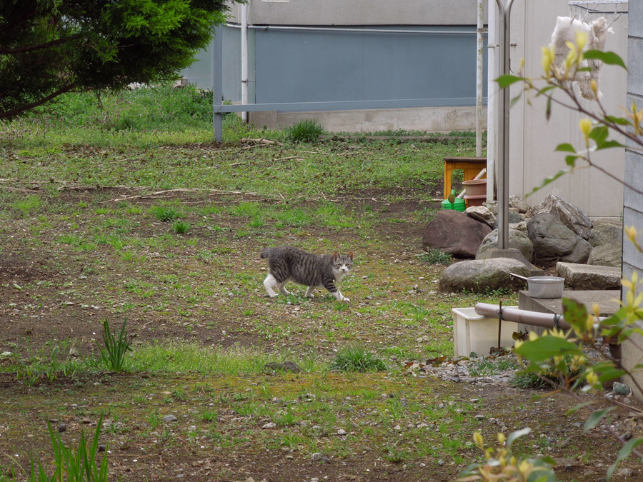 f:id:com:20120413122838j:image