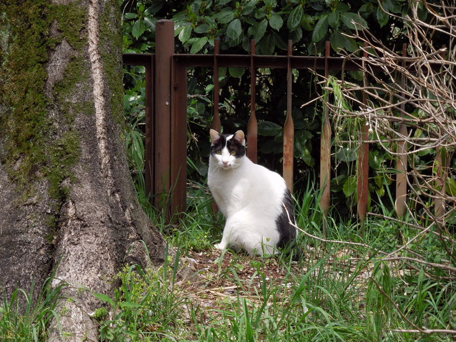 f:id:com:20120415114045j:image