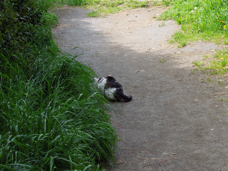 f:id:com:20120429143349j:image