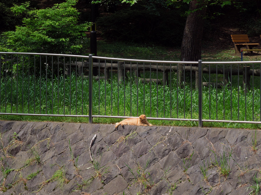 f:id:com:20120507095213j:image