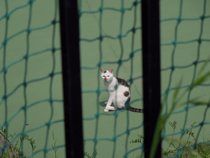 f:id:com:20120507125210j:image