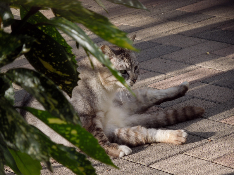 f:id:com:20120511170041j:image