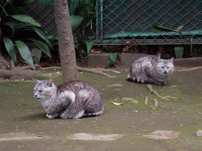 f:id:com:20120512121618j:image