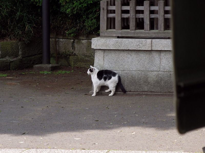 f:id:com:20120514125746j:image
