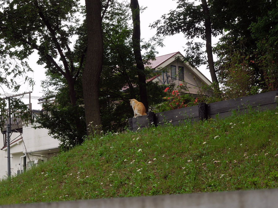 f:id:com:20120517125250j:image