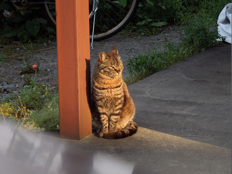 f:id:com:20120517164704j:image