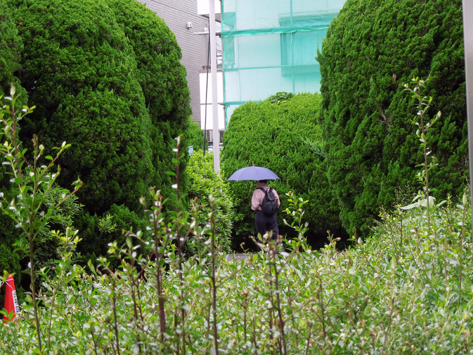 f:id:com:20120612130022j:image