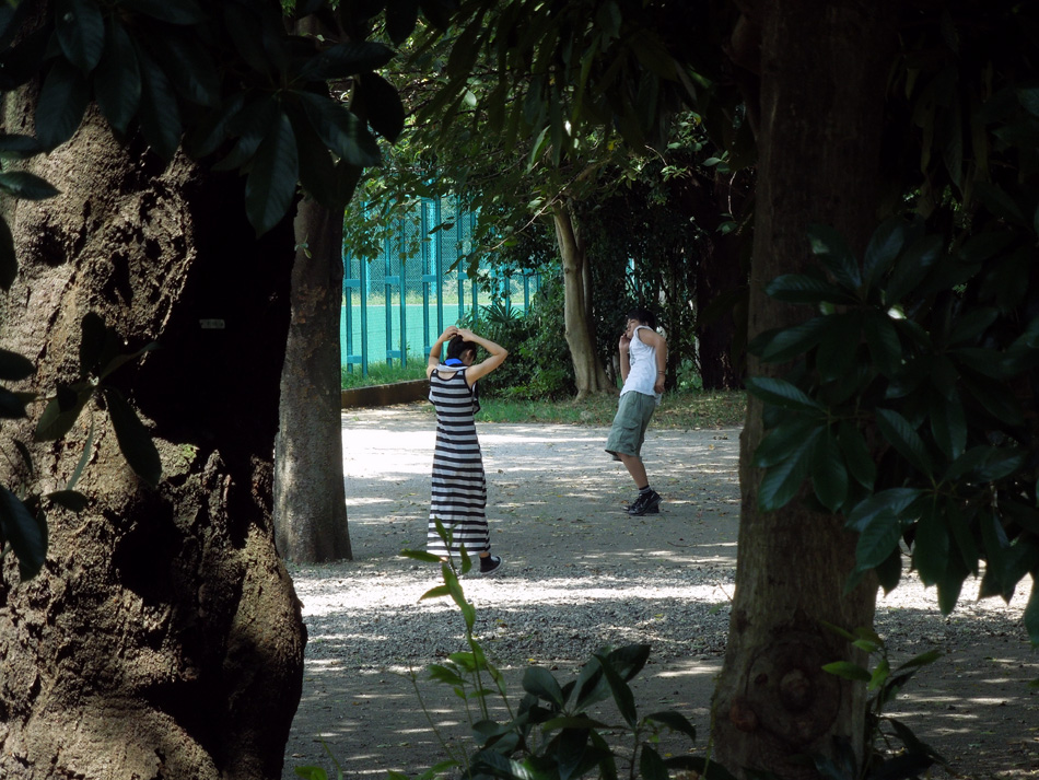 f:id:com:20120824121550j:image