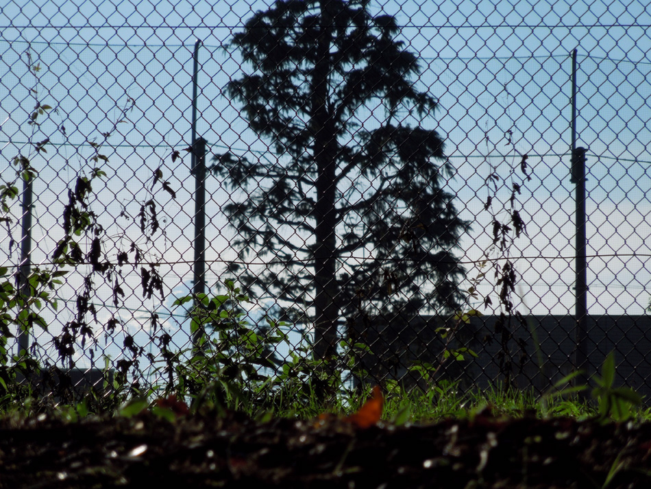 f:id:com:20120827170240j:image