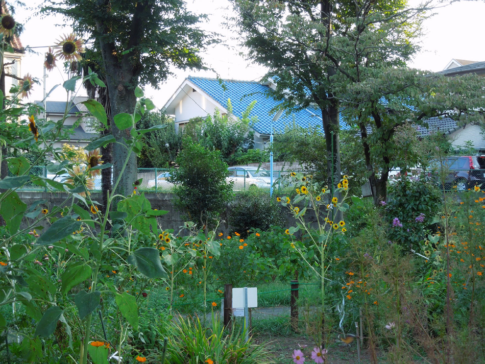 f:id:com:20120831173543j:image