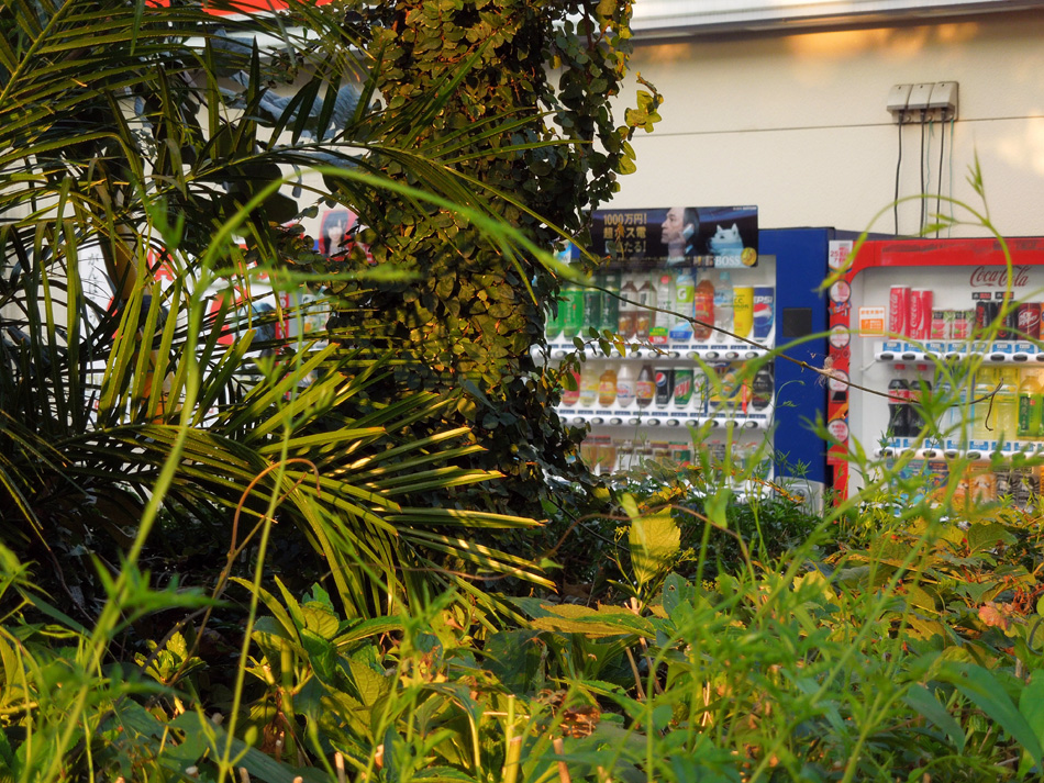 f:id:com:20120912171939j:image
