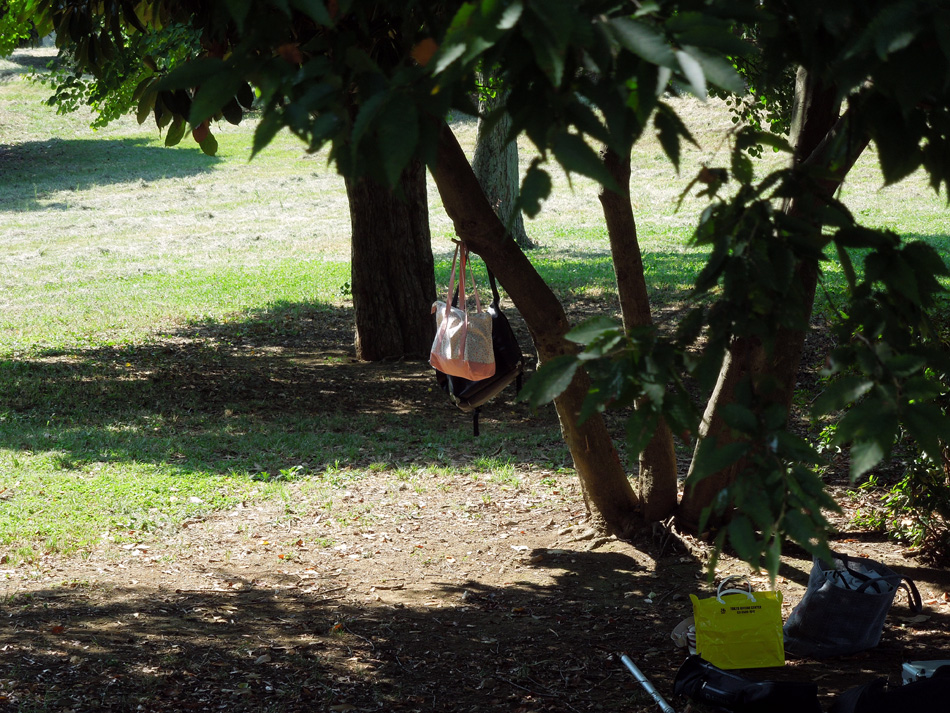 f:id:com:20120913125033j:image