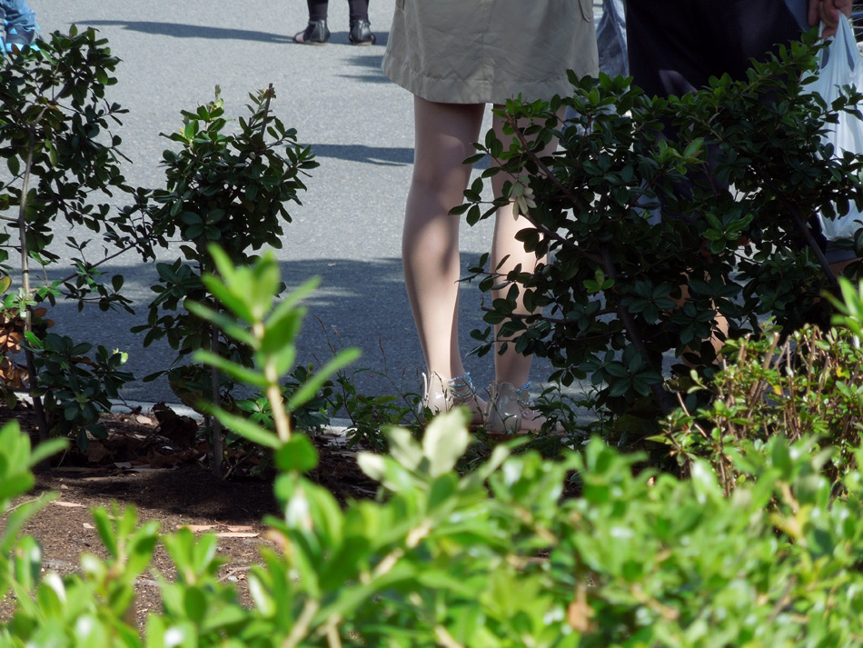 f:id:com:20120915140051j:image