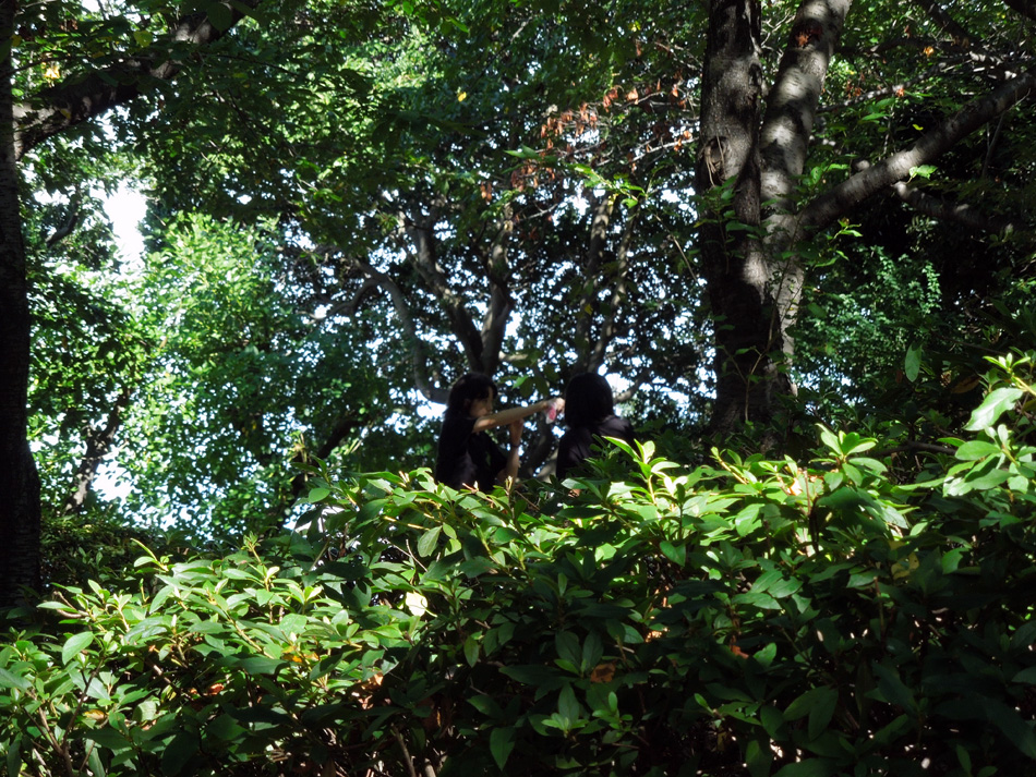 f:id:com:20120915143017j:image