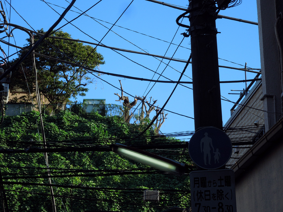 f:id:com:20120915164944j:image