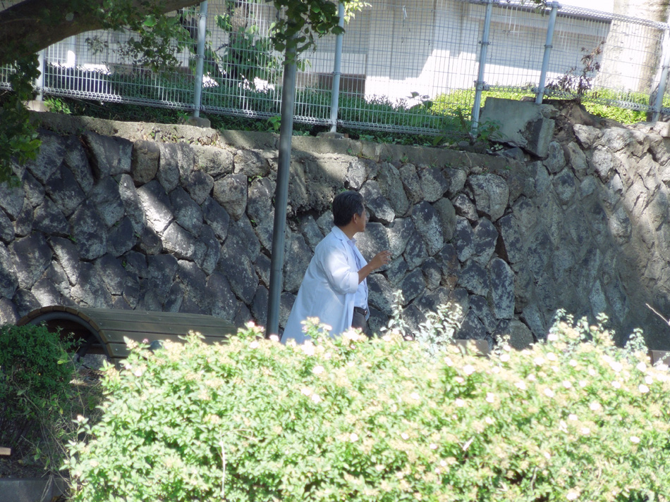 f:id:com:20121019102433j:image