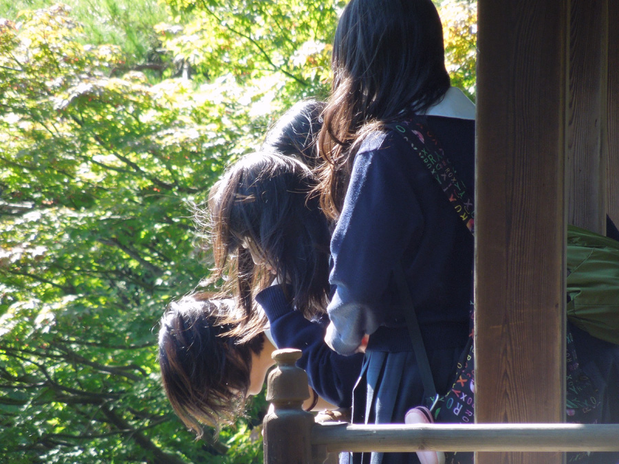 f:id:com:20121019130126j:image