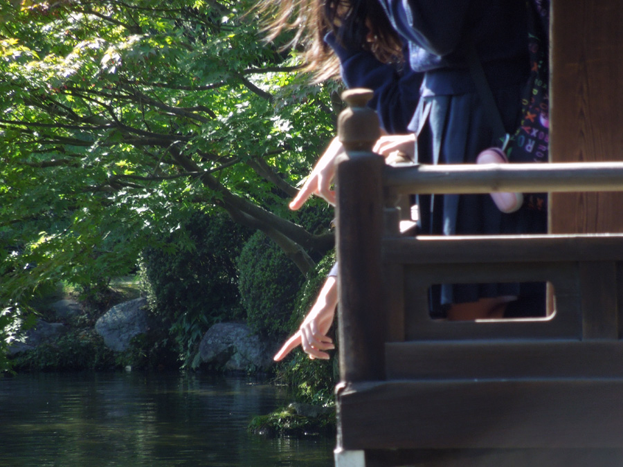 f:id:com:20121019130132j:image
