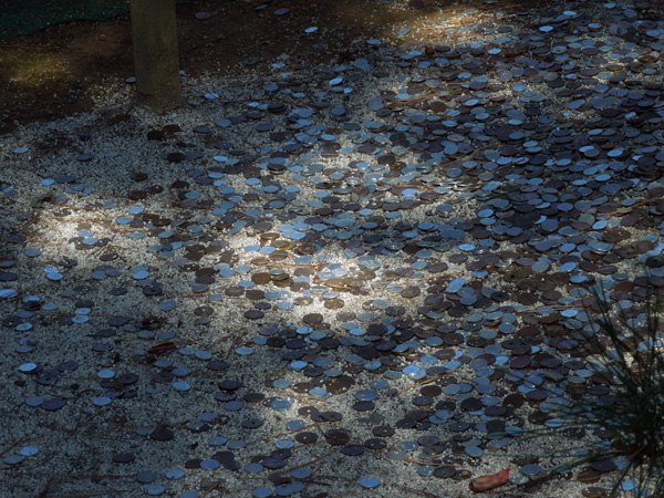 f:id:com:20121020101830j:image