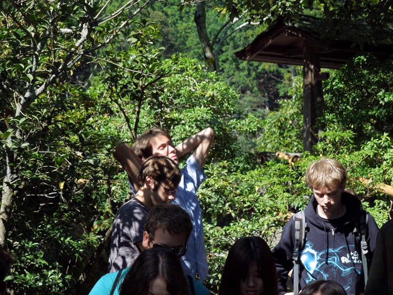 f:id:com:20121020102651j:image