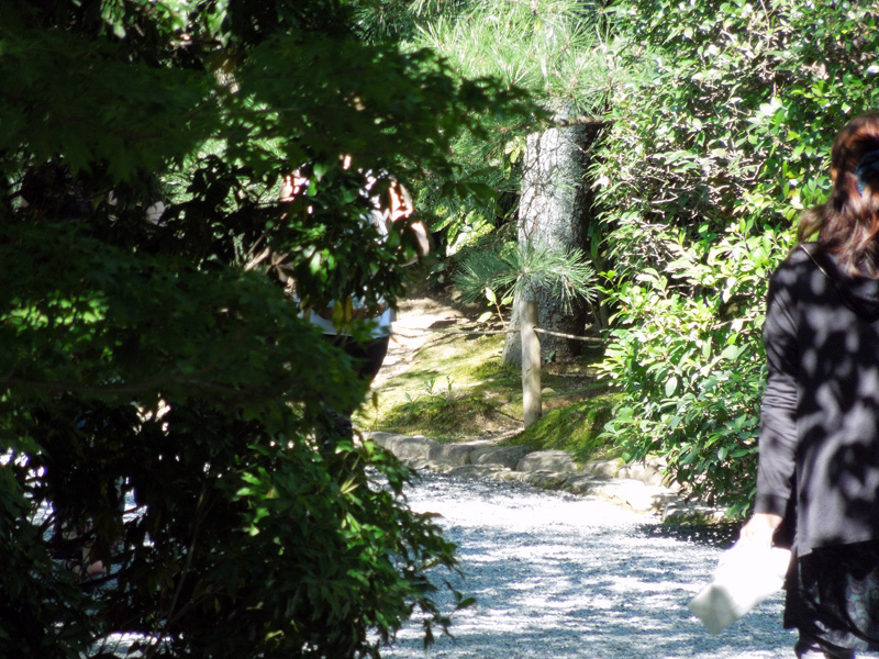 f:id:com:20121020122210j:image