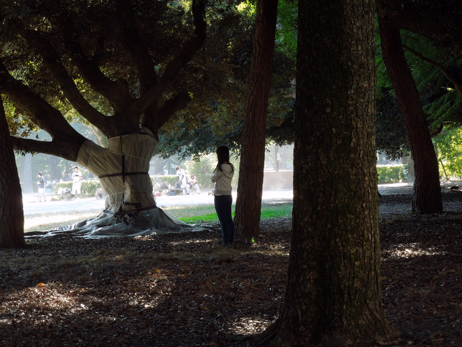 f:id:com:20121020152456j:image