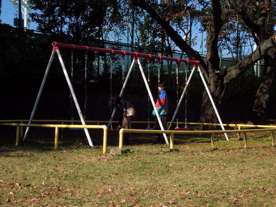 f:id:com:20121120122319j:image
