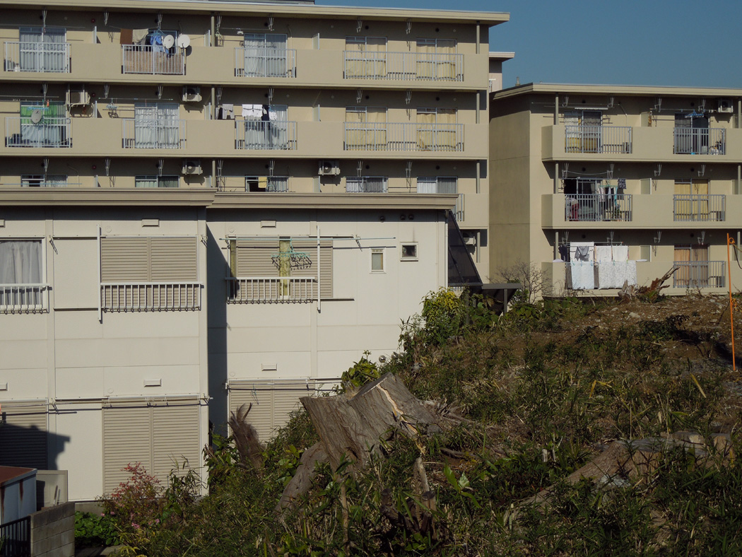 f:id:com:20121208124317j:image