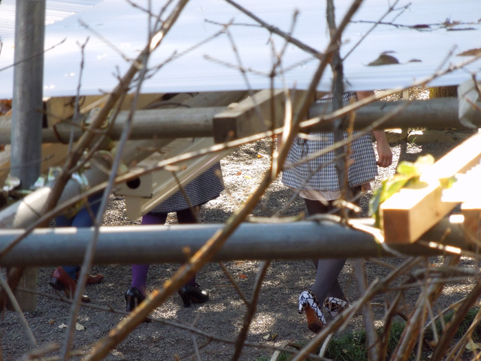 f:id:com:20121216104920j:image