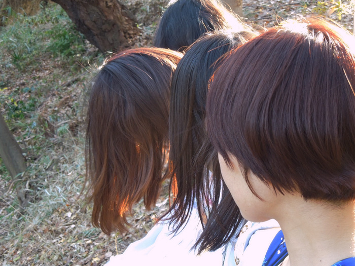 f:id:com:20121216140722j:image