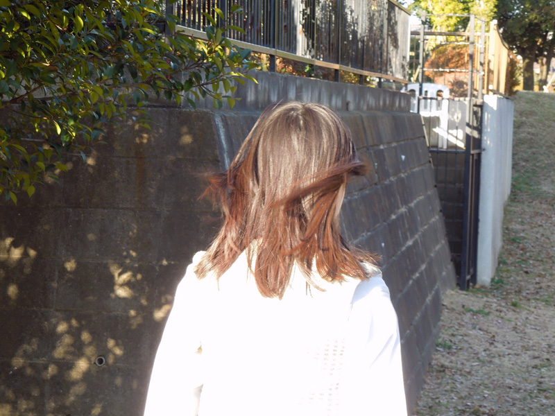 f:id:com:20121216144714j:image