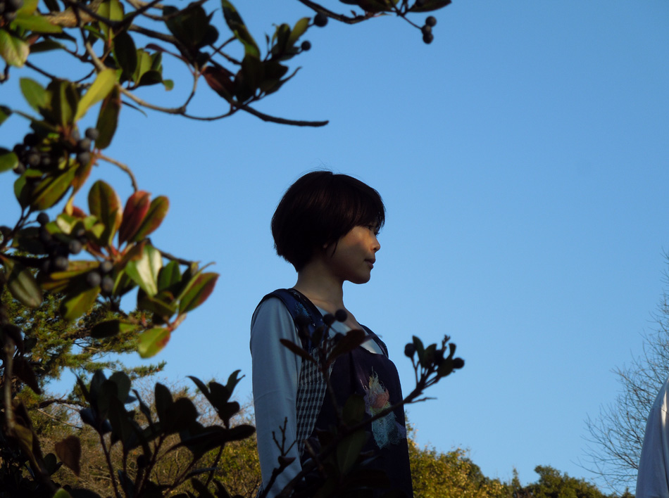 f:id:com:20121216145902j:image