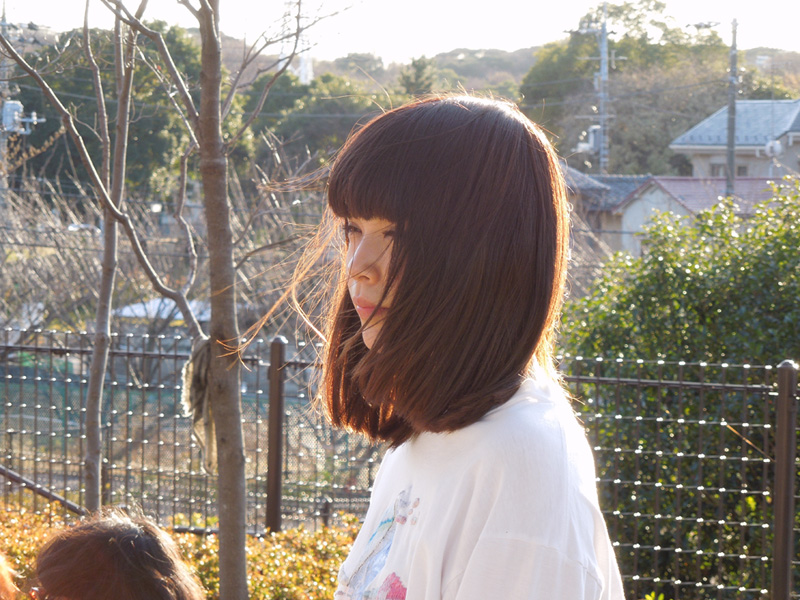f:id:com:20121216151540j:image