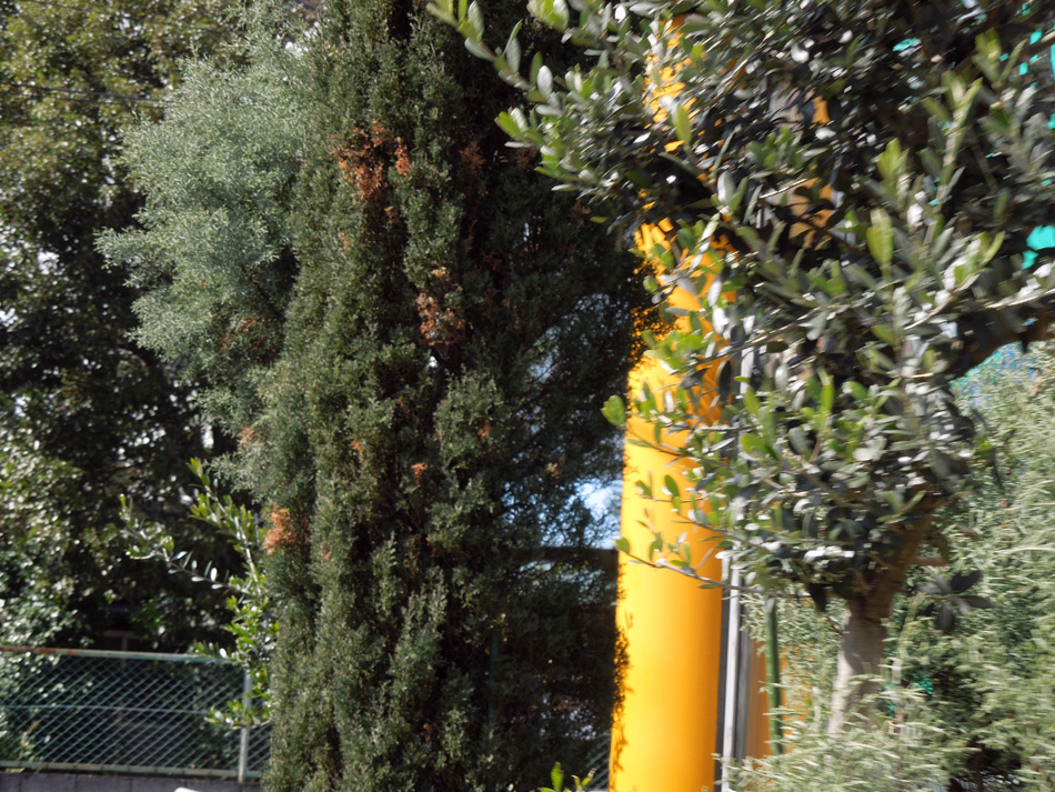 f:id:com:20130302133009j:image