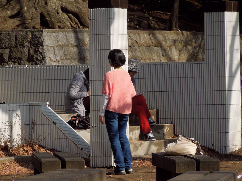 f:id:com:20130302141930j:image