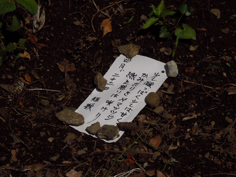 f:id:com:20130422100453j:image