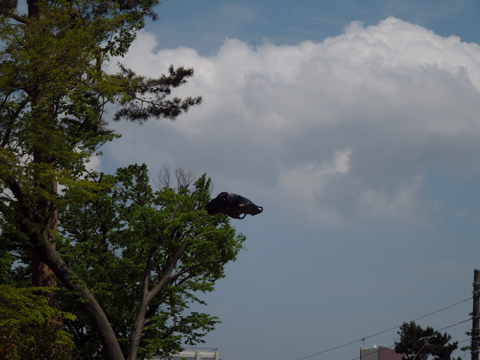 f:id:com:20130426122409j:image