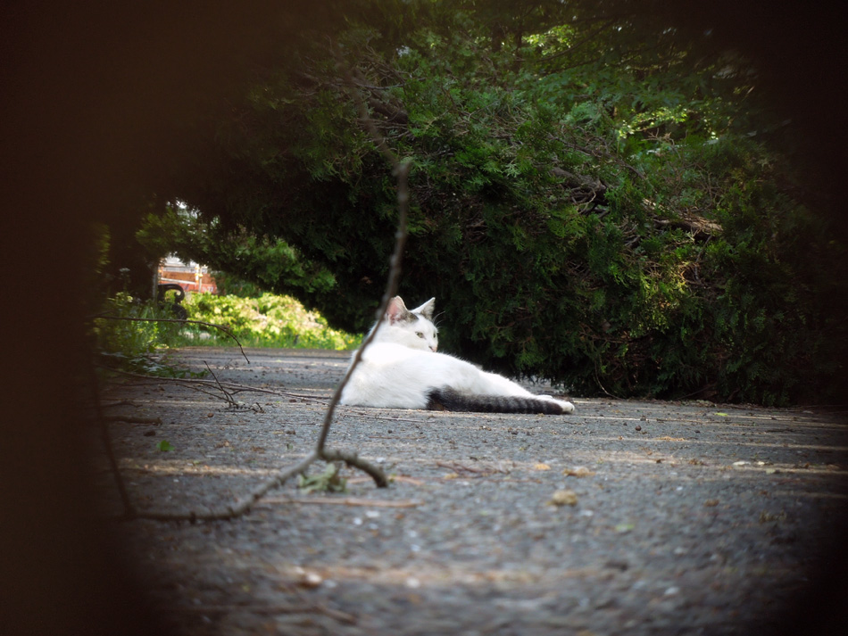 f:id:com:20130426125825j:image