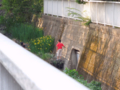 20130515171939