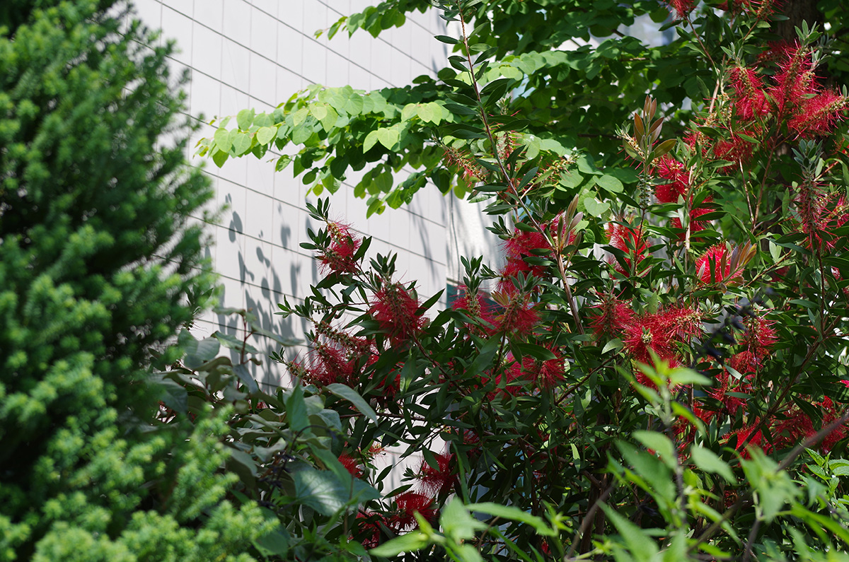 f:id:com:20130525132610j:image