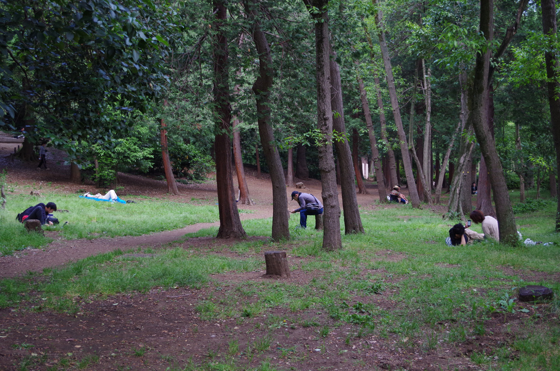 f:id:com:20130526165705j:image