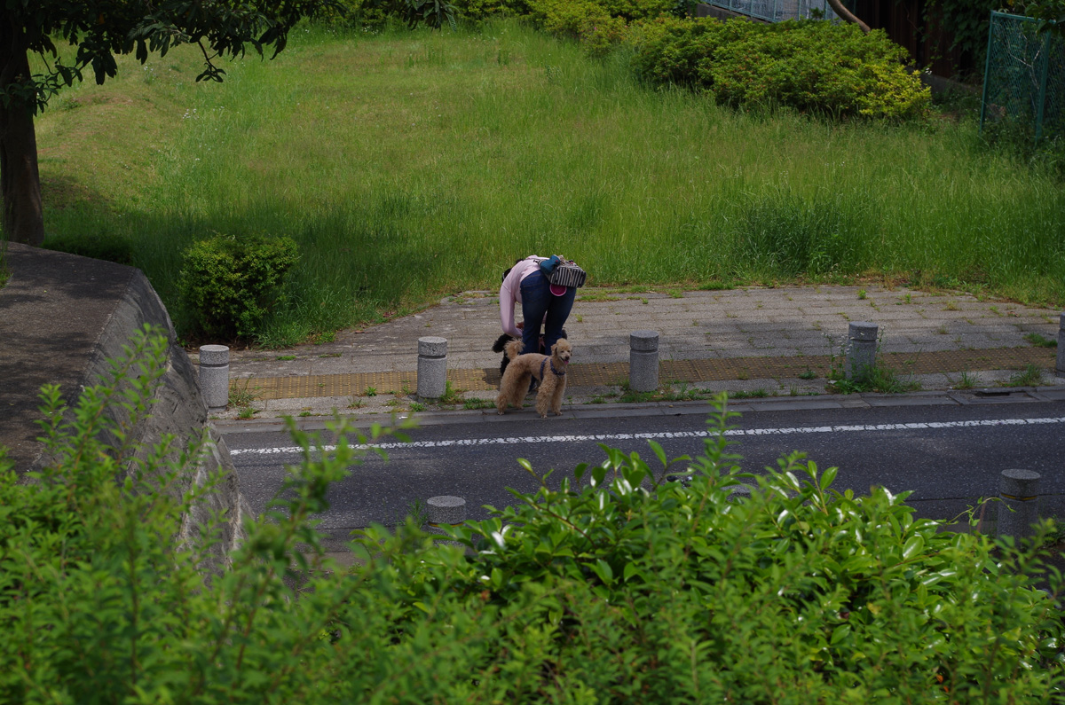 f:id:com:20130527123721j:image