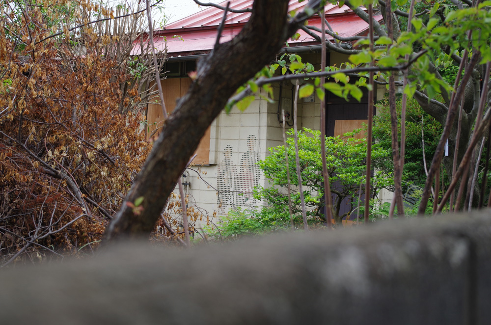 f:id:com:20130527160016j:image