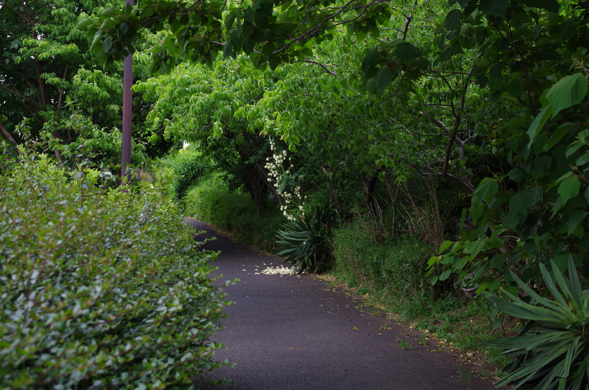 f:id:com:20130528160820j:image