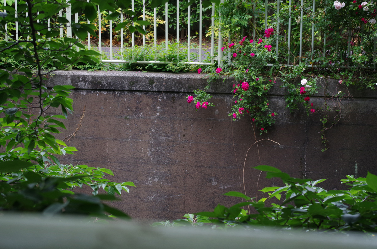 f:id:com:20130528162537j:image