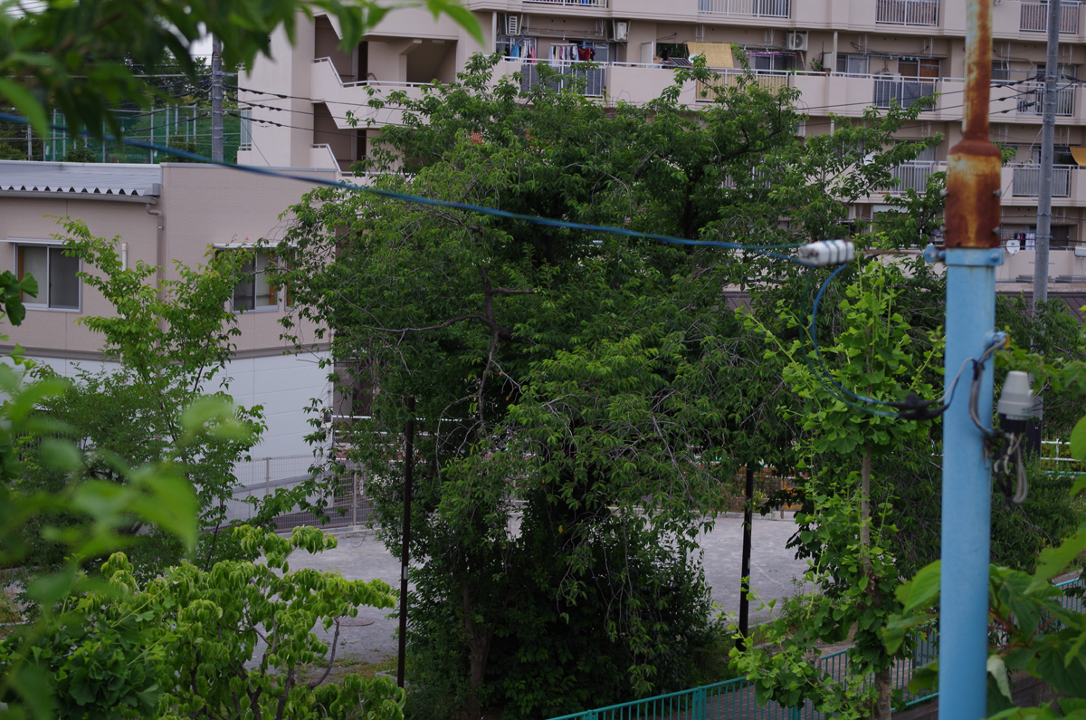f:id:com:20130528163810j:image