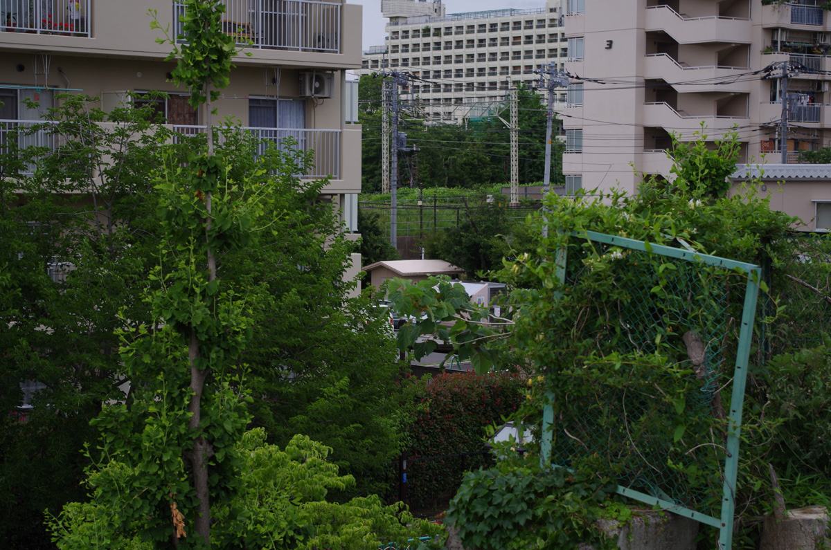 f:id:com:20130528165000j:image