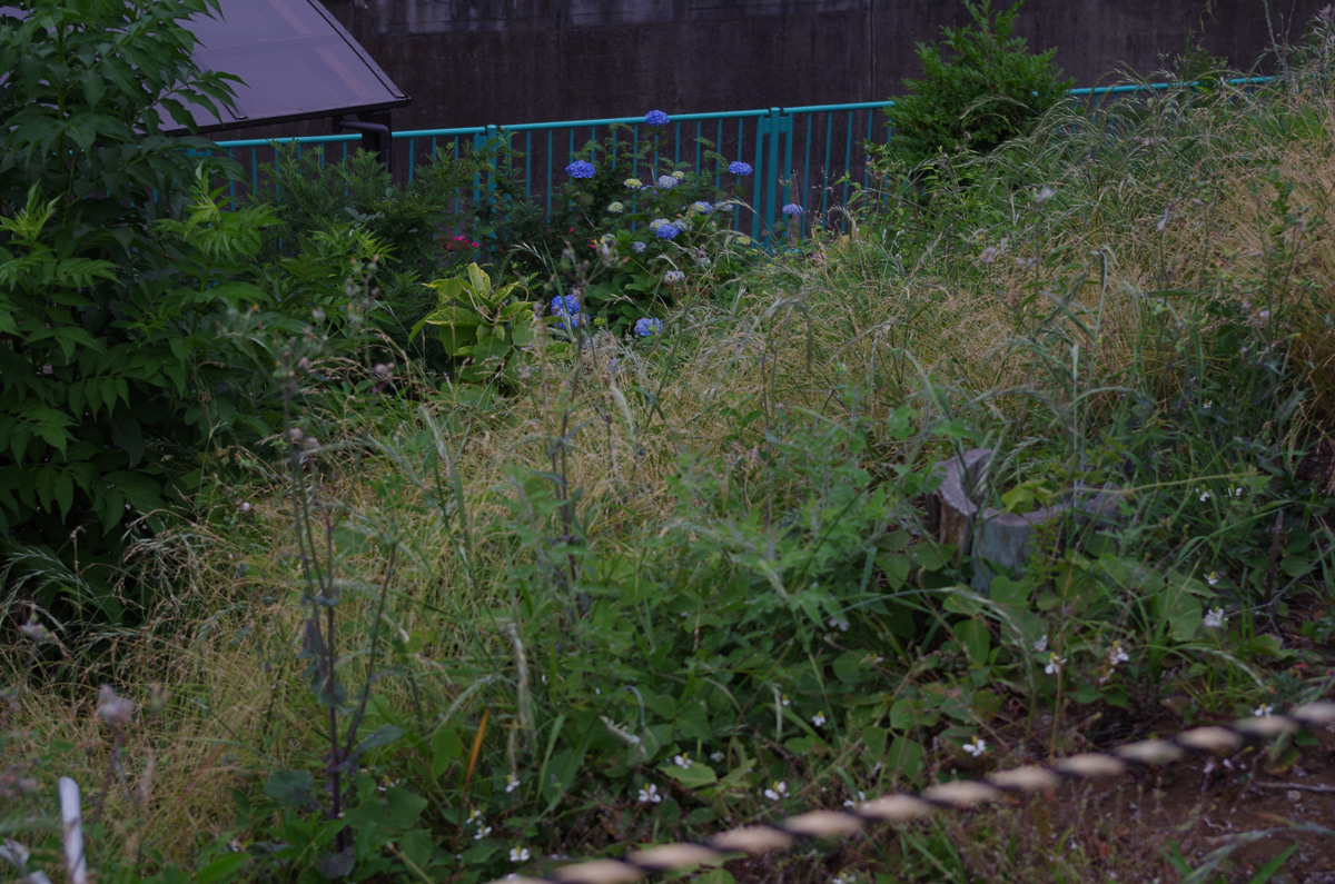 f:id:com:20130528165145j:image