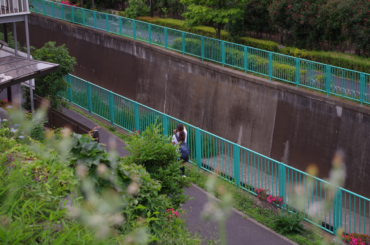 f:id:com:20130528165650j:image