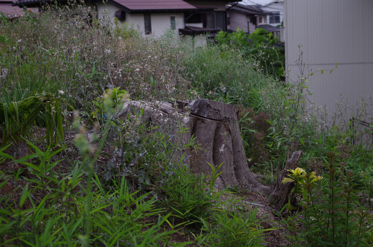 f:id:com:20130528165731j:image